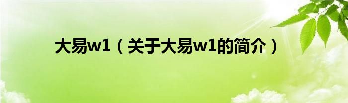 大易w1（關(guān)于大易w1的簡(jiǎn)介）