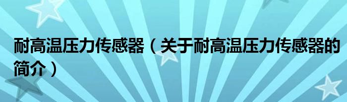 耐高溫壓力傳感器（關(guān)于耐高溫壓力傳感器的簡(jiǎn)介）