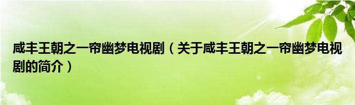 咸豐王朝之一簾幽夢電視?。P(guān)于咸豐王朝之一簾幽夢電視劇的簡介）