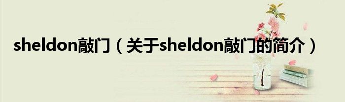 sheldon敲門(mén)（關(guān)于sheldon敲門(mén)的簡(jiǎn)介）