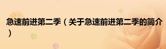 急速前進第二季（關(guān)于急速前進第二季的簡介）