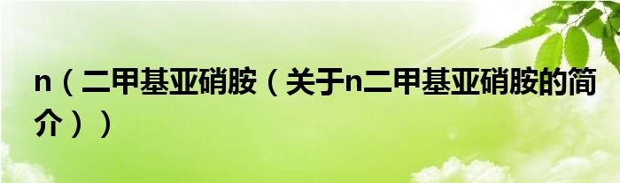 n（二甲基亞硝胺（關(guān)于n二甲基亞硝胺的簡介））