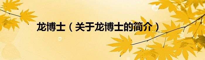 龍博士（關(guān)于龍博士的簡(jiǎn)介）