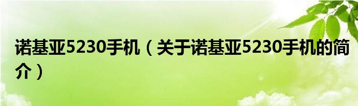 諾基亞5230手機（關于諾基亞5230手機的簡介）