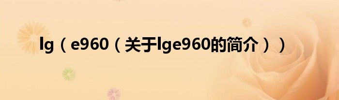 lg（e960（關(guān)于lge960的簡(jiǎn)介））