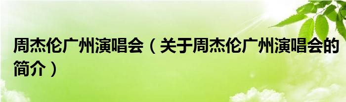 周杰倫廣州演唱會（關于周杰倫廣州演唱會的簡介）