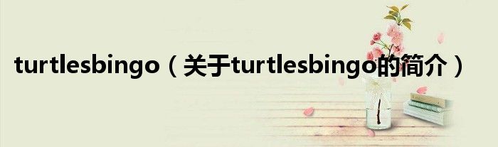 turtlesbingo（關于turtlesbingo的簡介）