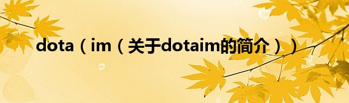 dota（im（關(guān)于dotaim的簡介））