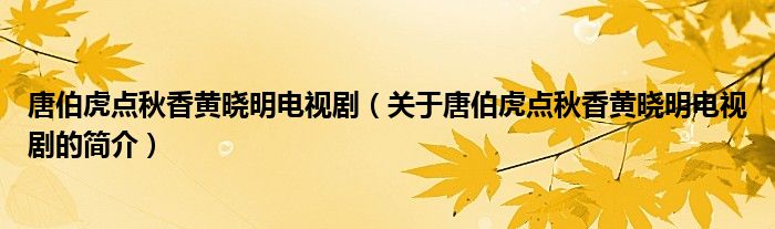 唐伯虎點秋香黃曉明電視?。P(guān)于唐伯虎點秋香黃曉明電視劇的簡介）