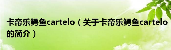 卡帝樂鱷魚cartelo（關于卡帝樂鱷魚cartelo的簡介）