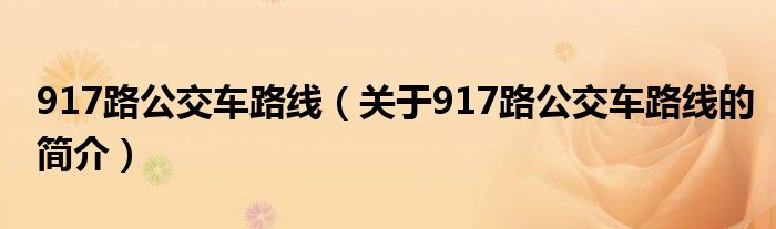 917路公交車路線（關(guān)于917路公交車路線的簡介）