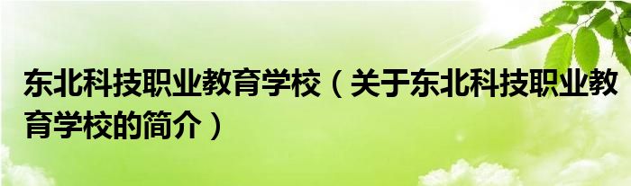 東北科技職業(yè)教育學(xué)校（關(guān)于東北科技職業(yè)教育學(xué)校的簡介）