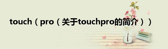 touch（pro（關(guān)于touchpro的簡(jiǎn)介））