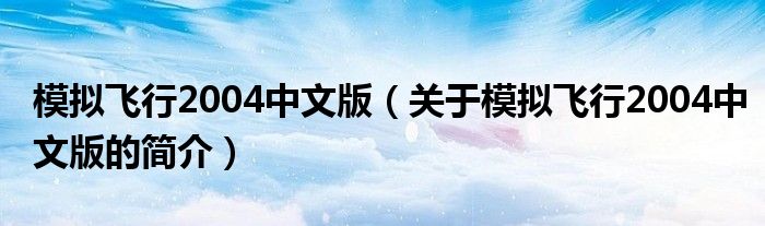 模擬飛行2004中文版（關(guān)于模擬飛行2004中文版的簡介）