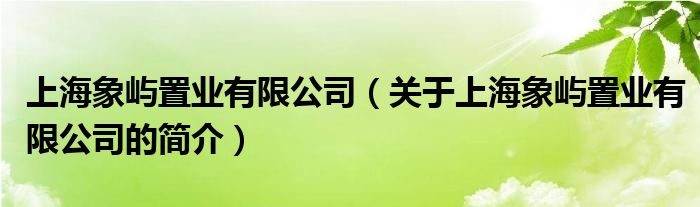 上海象嶼置業(yè)有限公司（關(guān)于上海象嶼置業(yè)有限公司的簡介）