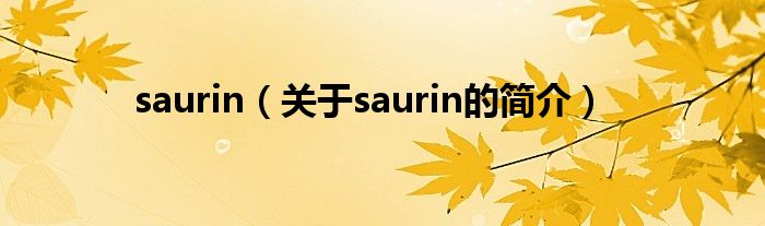 saurin（關(guān)于saurin的簡(jiǎn)介）