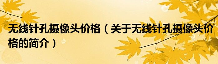 無線針孔攝像頭價格（關(guān)于無線針孔攝像頭價格的簡介）