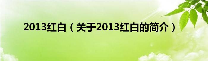 2013紅白（關(guān)于2013紅白的簡介）