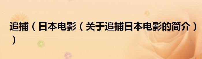 追捕（日本電影（關(guān)于追捕日本電影的簡(jiǎn)介））