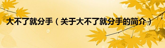 大不了就分手（關(guān)于大不了就分手的簡(jiǎn)介）