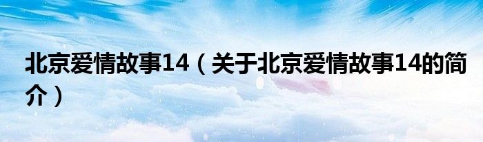 北京愛(ài)情故事14（關(guān)于北京愛(ài)情故事14的簡(jiǎn)介）