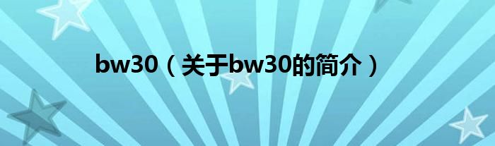 bw30（關(guān)于bw30的簡(jiǎn)介）