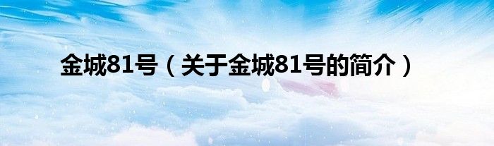 金城81號（關(guān)于金城81號的簡介）