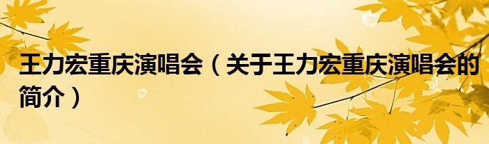 王力宏重慶演唱會（關(guān)于王力宏重慶演唱會的簡介）