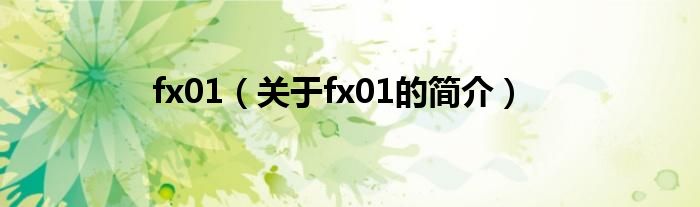 fx01（關(guān)于fx01的簡(jiǎn)介）