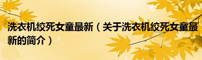 洗衣機絞死女童最新（關于洗衣機絞死女童最新的簡介）