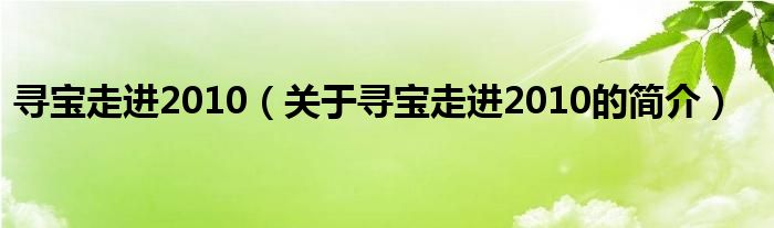 尋寶走進2010（關(guān)于尋寶走進2010的簡介）