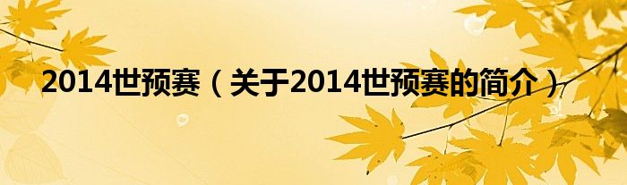 2014世預(yù)賽（關(guān)于2014世預(yù)賽的簡介）