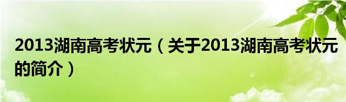 2013湖南高考狀元（關(guān)于2013湖南高考狀元的簡介）