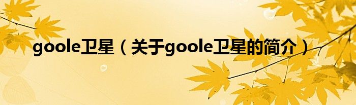 goole衛(wèi)星（關于goole衛(wèi)星的簡介）