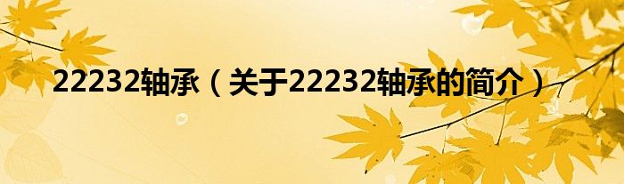 22232軸承（關(guān)于22232軸承的簡(jiǎn)介）