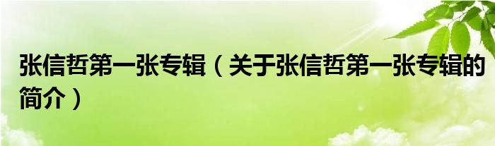 張信哲第一張專輯（關于張信哲第一張專輯的簡介）