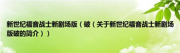 新世紀(jì)福音戰(zhàn)士新劇場版（破（關(guān)于新世紀(jì)福音戰(zhàn)士新劇場版破的簡介））