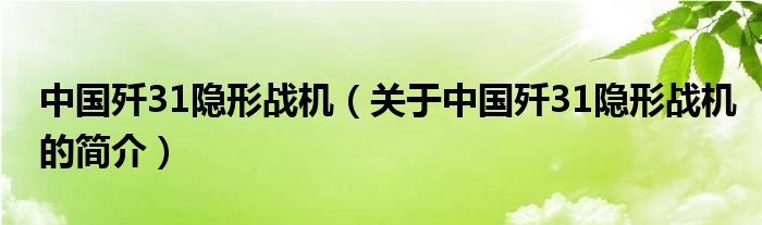 中國殲31隱形戰(zhàn)機（關于中國殲31隱形戰(zhàn)機的簡介）