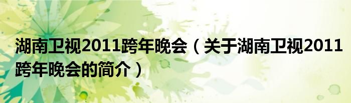 湖南衛(wèi)視2011跨年晚會(huì)（關(guān)于湖南衛(wèi)視2011跨年晚會(huì)的簡介）