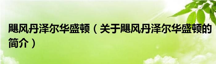 颶風(fēng)丹澤爾華盛頓（關(guān)于颶風(fēng)丹澤爾華盛頓的簡(jiǎn)介）