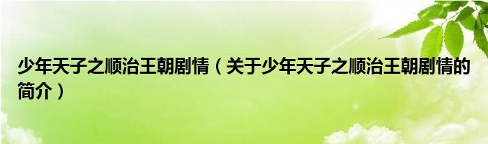 少年天子之順治王朝劇情（關(guān)于少年天子之順治王朝劇情的簡介）