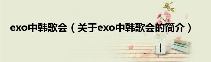 exo中韓歌會(huì)（關(guān)于exo中韓歌會(huì)的簡(jiǎn)介）