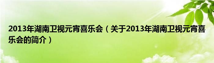 2013年湖南衛(wèi)視元宵喜樂會(huì)（關(guān)于2013年湖南衛(wèi)視元宵喜樂會(huì)的簡(jiǎn)介）