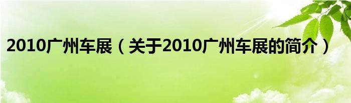 2010廣州車(chē)展（關(guān)于2010廣州車(chē)展的簡(jiǎn)介）