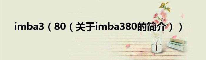 imba3（80（關于imba380的簡介））