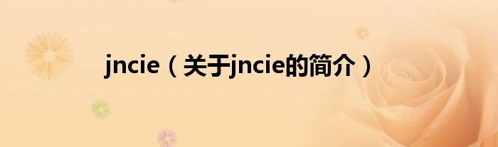 jncie（關(guān)于jncie的簡介）