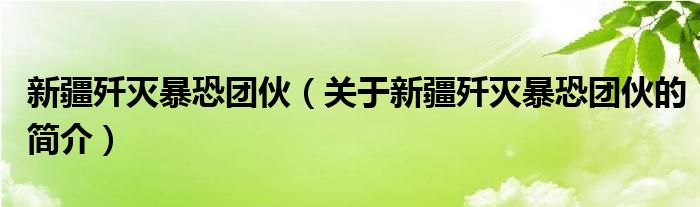 新疆殲滅暴恐團伙（關于新疆殲滅暴恐團伙的簡介）