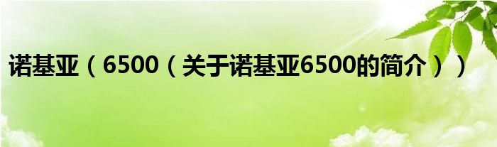 諾基亞（6500（關于諾基亞6500的簡介））