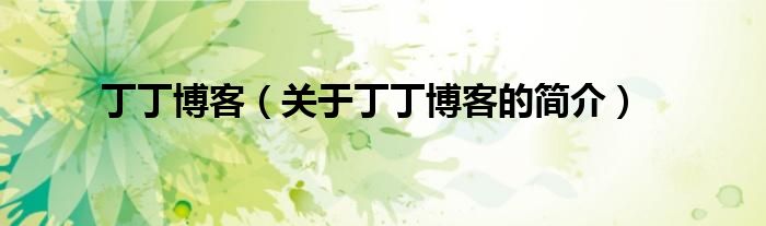 丁丁博客（關(guān)于丁丁博客的簡(jiǎn)介）