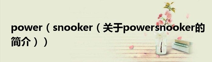 power（snooker（關于powersnooker的簡介））